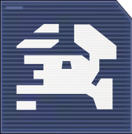 Electromagnetic Twin