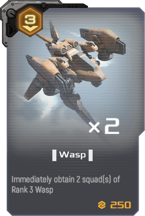 Wasp