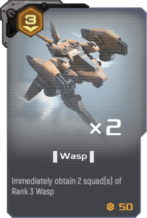 Wasp